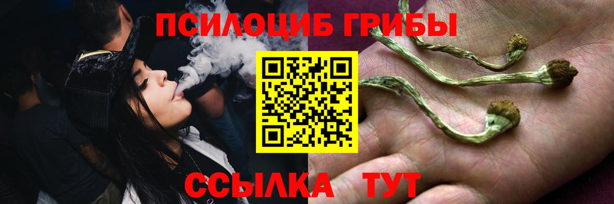 Тихорецк  Псилоцибиновые грибы мицелий  Вход с VPN 